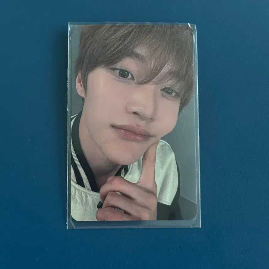 [BUNJANG] Won Bin Uplus Kok Photocard / 라이즈 원빈 오디세이 유플러스 유쁠 콕 포카 양도