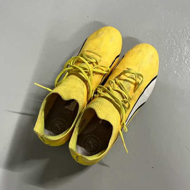 [BUNJANG] Puma Ultra FG Soccer Cleats / 푸마 울트라 fg 275