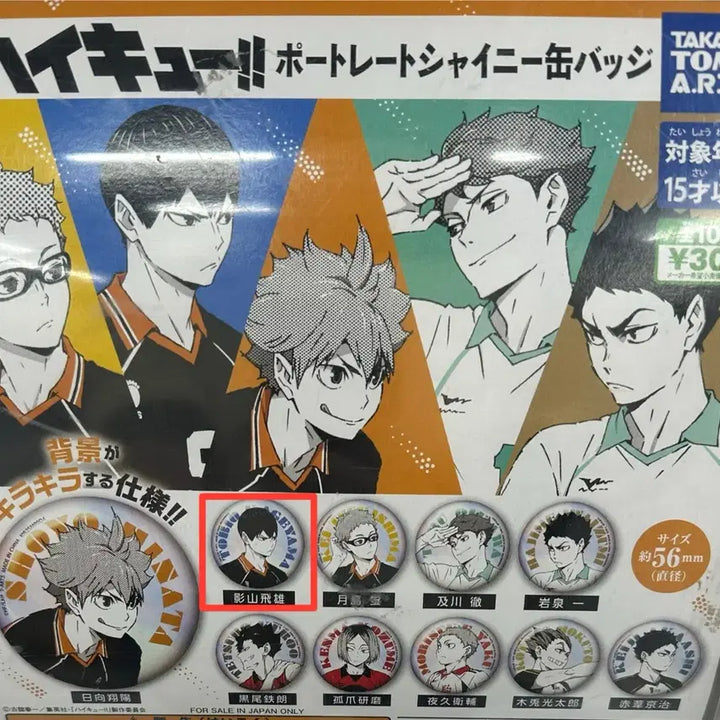 [BUNJANG] Haikyuu!! Kageyama Shainy Pin Badge / 하이큐 포트레이트 샤이니 핀뱃지 카게야마 판매
