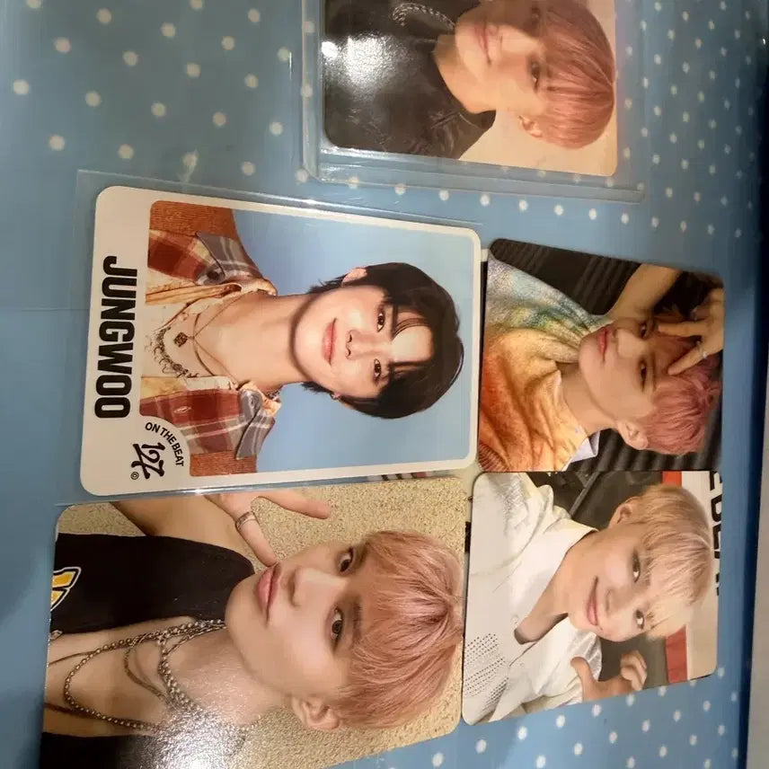 [BUNJANG] NCT 127 Jungwoo Photocard Bundle Set / NCT 127 정우 포토카드 일괄