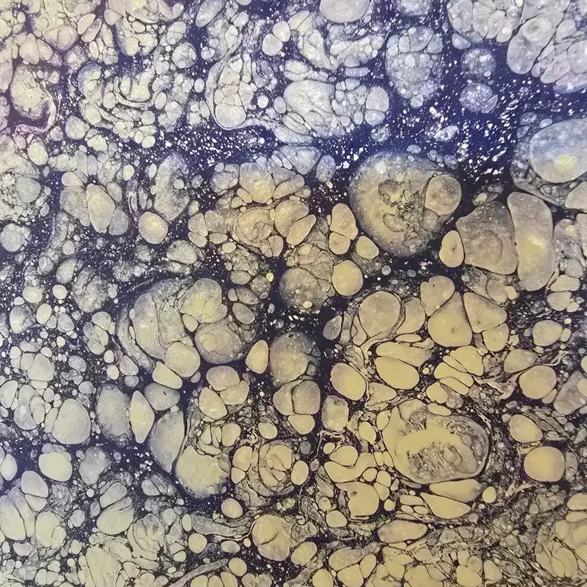 [BUNJANG] Yohahn Diko Cosmos 321892 Oil Painting / 한요한 작가 서양화 그림 유화