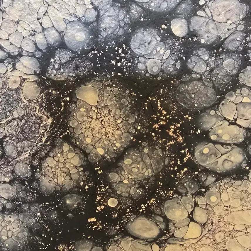 [BUNJANG] Yohahn Diko Cosmos 321892 Oil Painting / 한요한 작가 서양화 그림 유화
