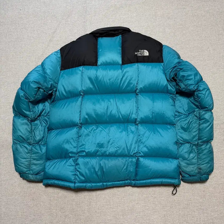 [BUNJANG] The North Face Summit Series 800 Fill Puffer Jacket / 노스페이스 써밋시리즈 800 패딩 자켓