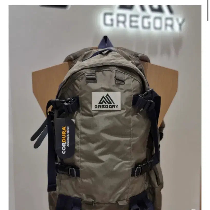[SOLD OUT] 그레고리 X 디스이즈네버댓 데이앤하프 백팩
