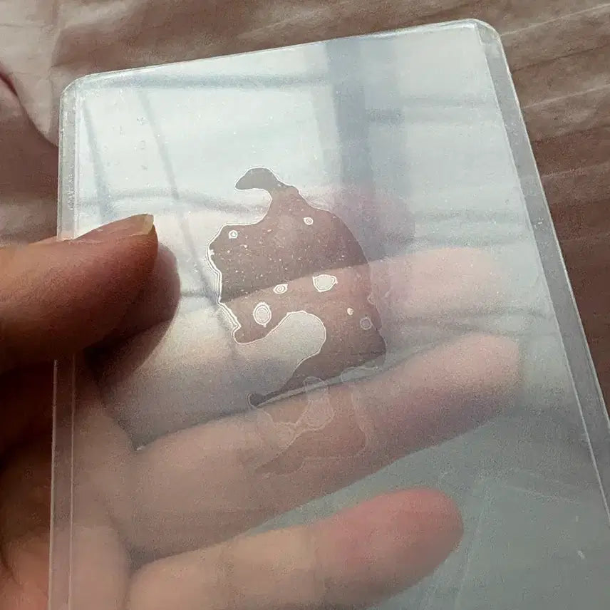 [BUNJANG] Photocard Holder Set / 포토카드홀더 세트