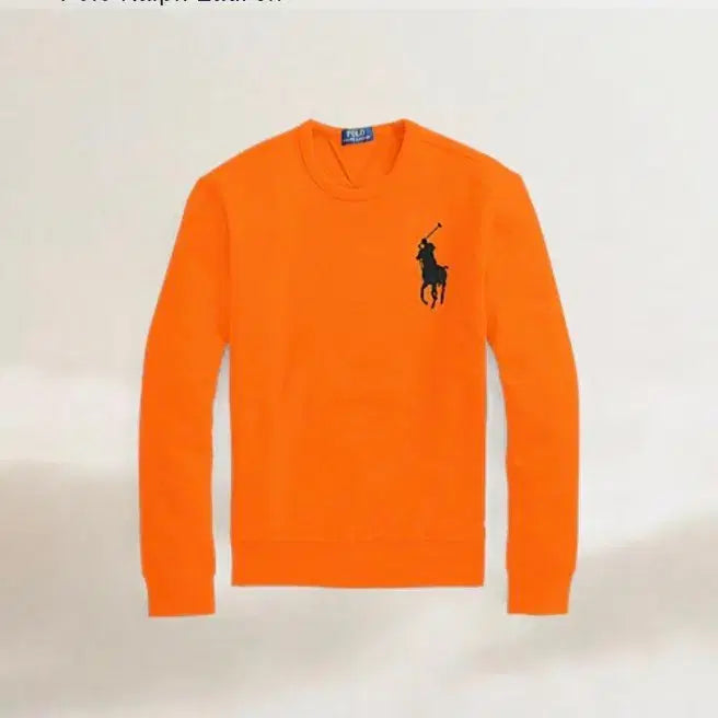 [BUNJANG] L Polo Fleece Sweatshirt Long Sleeve / 남성 L 폴로 기모 맨투맨 긴팔