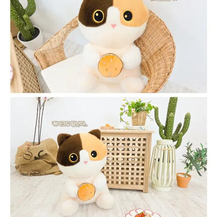 [BUNJANG] Calico Donut Cat Extra Large Plush Doll / 칼리코 도넛 캣 대형 인형 60cm(새제품)