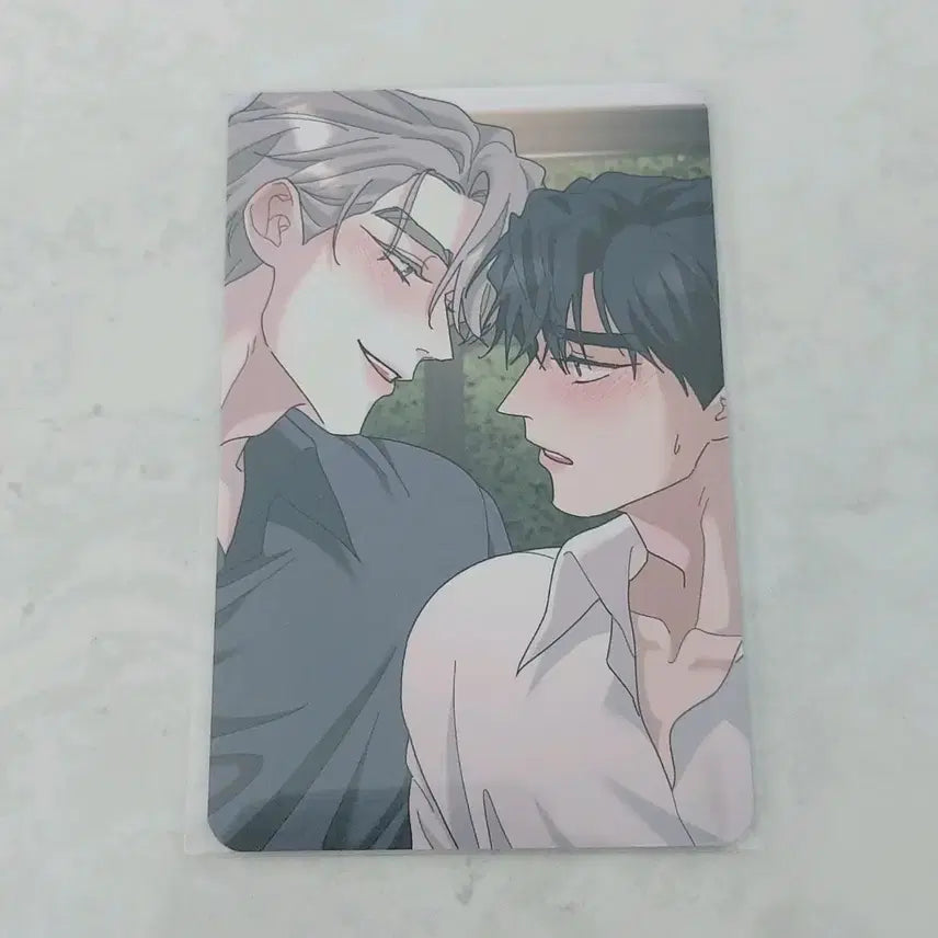 [BUNJANG] Lezhin Comics Campus Couple Special POB Photocard / 레진코믹스 신학기 캠퍼스커플 뿌리없는나무 특전 포카
