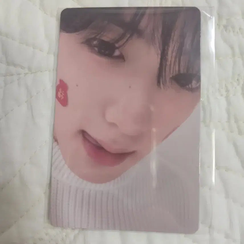 [BUNJANG] MD Sangyeon Photocard / md포카 상현