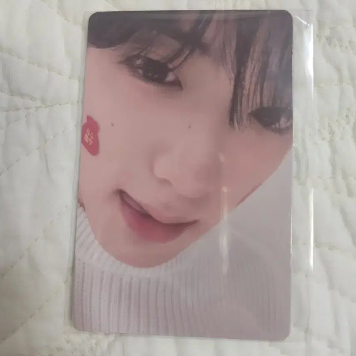 [BUNJANG] MD Sangyeon Photocard / md포카 상현