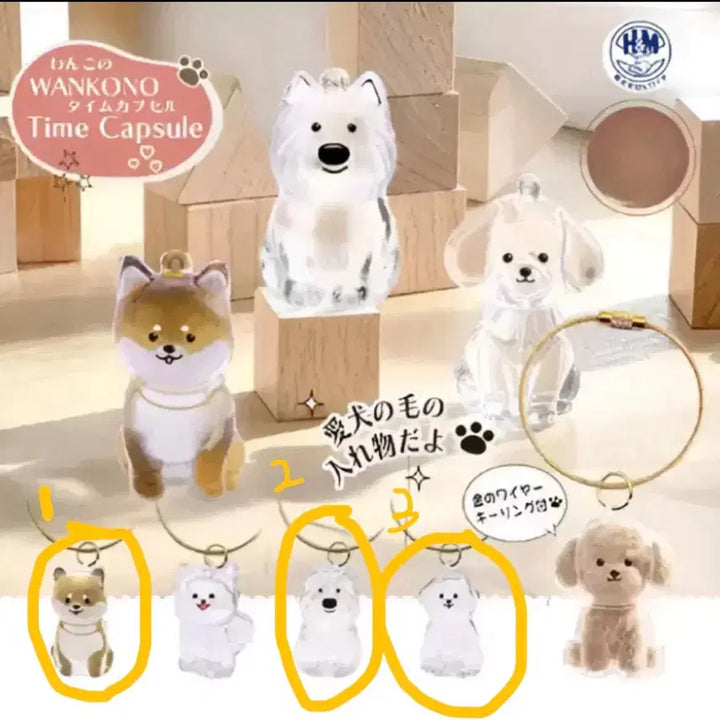[BUNJANG] WANKONO Dog Time Capsule Memorial Hair Storage Keychain / WANKONO 강아지 타임캡슐 메모리얼 털 보관 키링