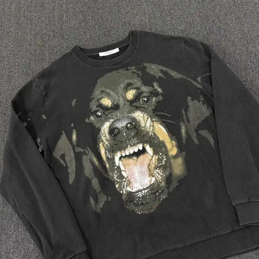 [BUNJANG] Givenchy Rottweiler Sweatshirt XXL / 지방시 로트와일러 맨투맨 XXL