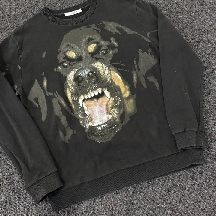 [BUNJANG] Givenchy Rottweiler Sweatshirt XXL / 지방시 로트와일러 맨투맨 XXL