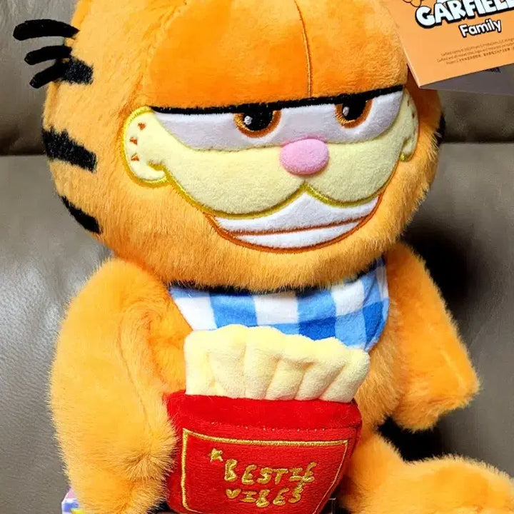 [BUNJANG] Garfield Bestie Vibes Plush Doll / 가필드 인형 Bestie Vibes (새상품)