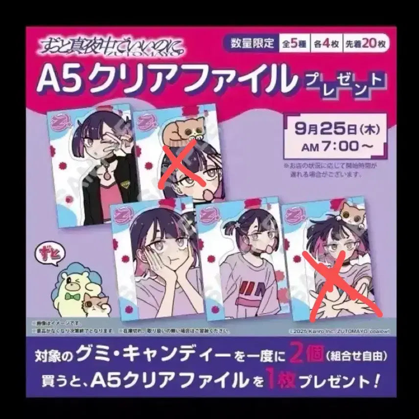 [BUNJANG] Zutto Mayoi Marushy Clear File Set / 즛토마요 마로슈 클리어파일 3종