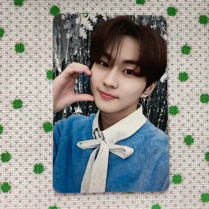 [BUNJANG] ENHYPEN Yang Jungwon Photocard / SBS 엔하이픈 포카 양정원