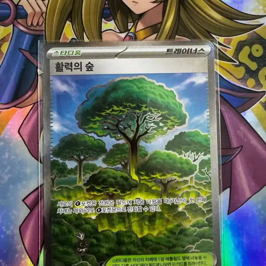 [BUNJANG] Pokemon Vitality Forest SR Card / 포켓몬) 활력의 숲 SR