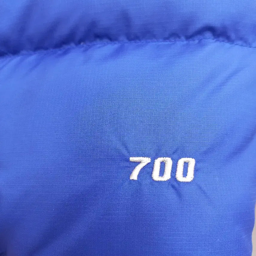 [BUNJANG] The North Face Nuptse 700 Goose Down Padded Jacket / 노스페이스 눕시 700 구스다운 패딩 (남자 95~100)