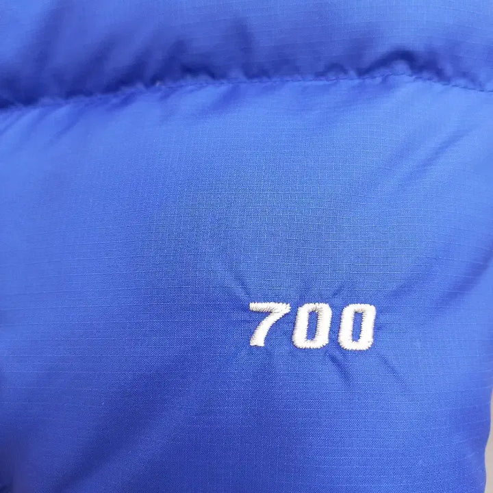 [BUNJANG] The North Face Nuptse 700 Goose Down Padded Jacket / 노스페이스 눕시 700 구스다운 패딩 (남자 95~100)