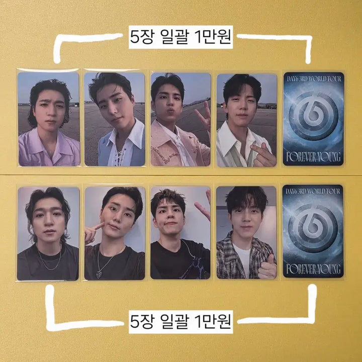 [BUNJANG] Day6 Forever Young Incheon Concert Photocard Set / 데이식스 포에버영 인천콘 첫콘 중콘 입장포카 성진 영케이 원필 도운