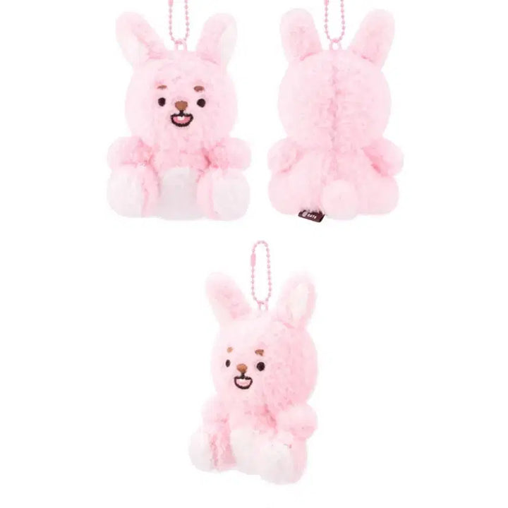 [BUNJANG] Day6 Denimals PIL Plush / [ 데이식스 데니멀즈 앉은 PIL ]