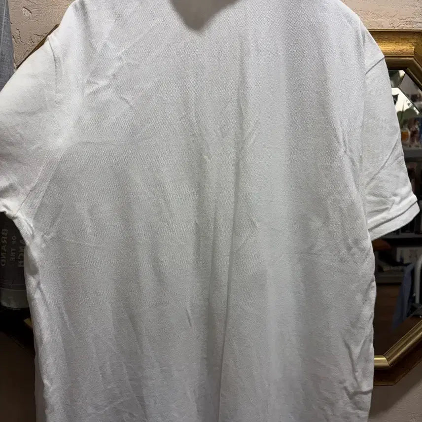 [SOLD OUT] 폴로 PK 반팔카라티 xl 슬림핏
