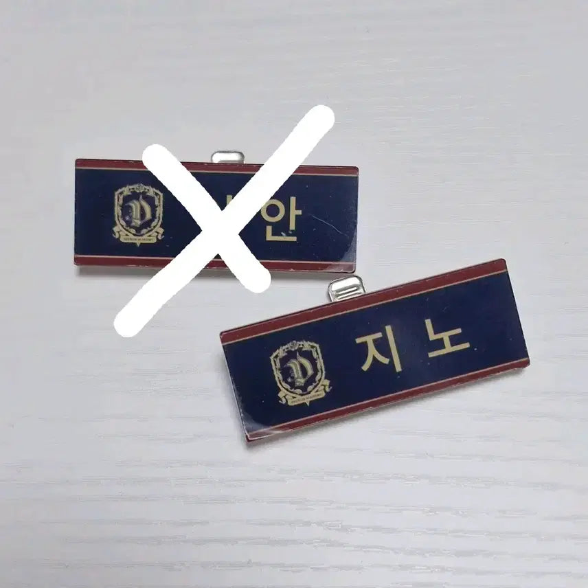 [BUNJANG] ENHYPEN Dark Moon Deselis Name Tag IAN / 엔하이픈 롯데월드 다크문 드셀리스 명찰 지노 이안