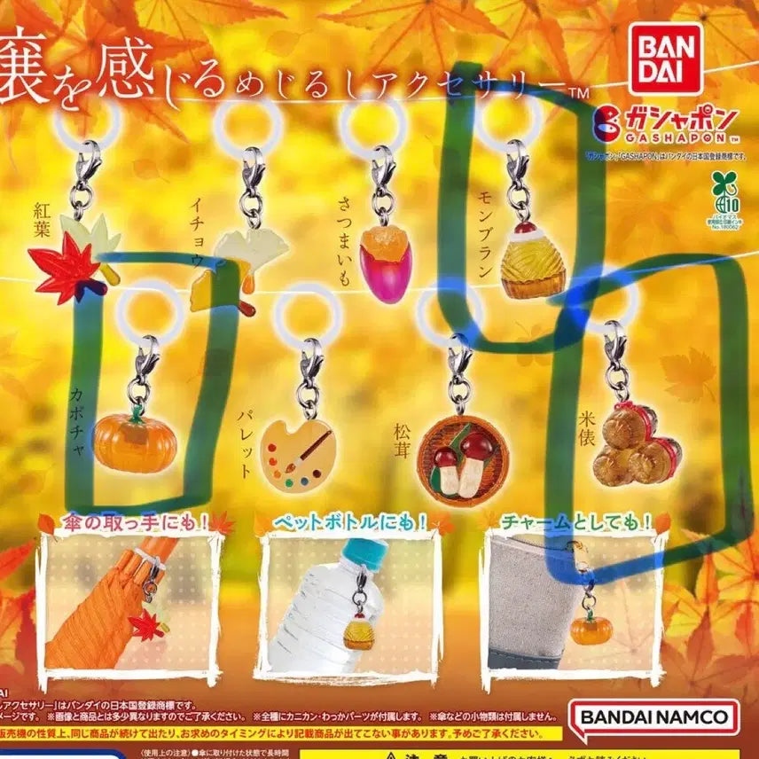 [BUNJANG] Autumn&