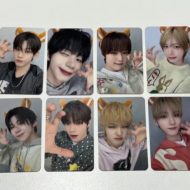 [BUNJANG] AHOF Tiger Photocard POB Set / AHOF 아홉 호랑이다어흥 포카 미공포 세트 양도