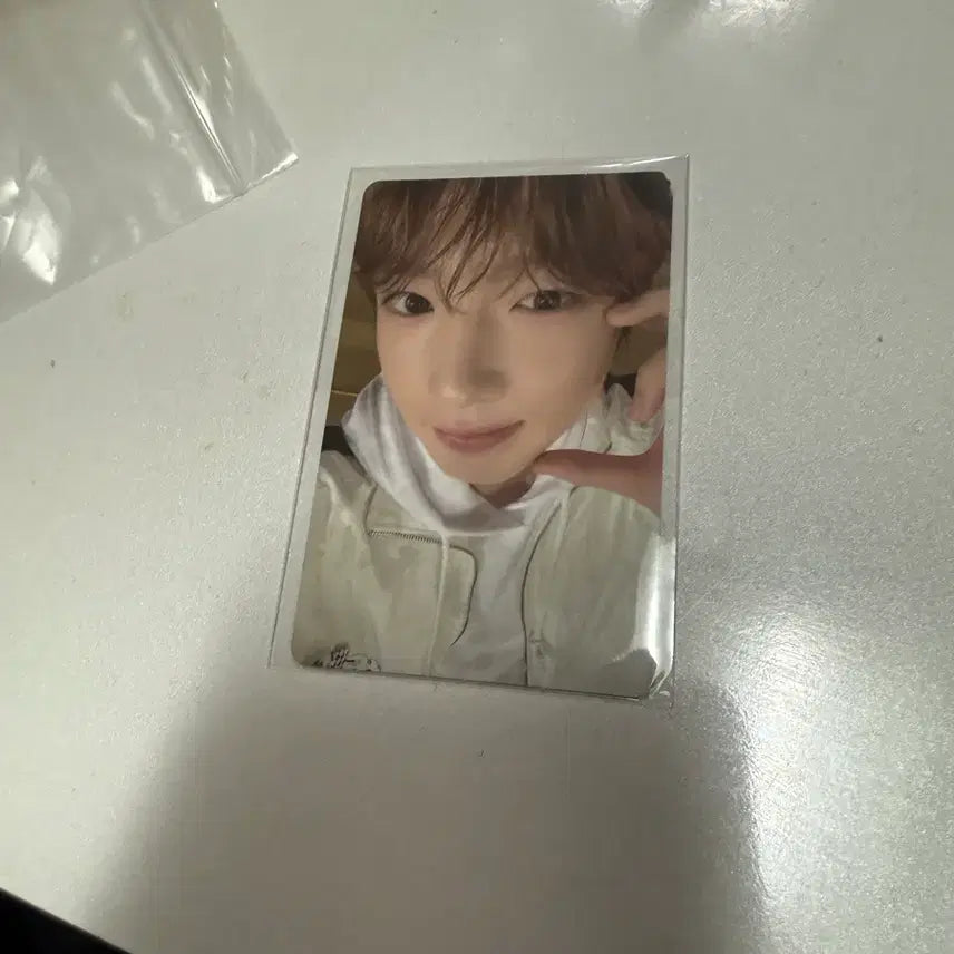 [BUNJANG] Sakura Photocard / 사쿠야 컬러포카