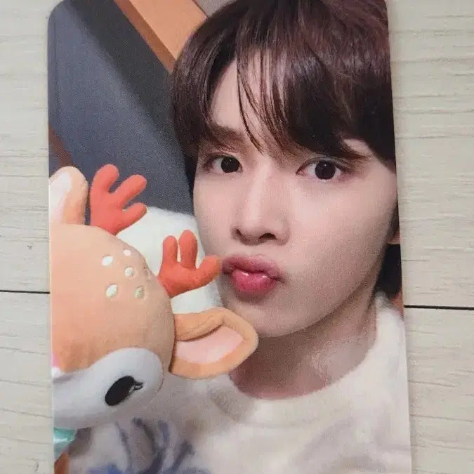 [BUNJANG] Everrise Sungchan Photocard / 에버라이즈 성찬 포카
