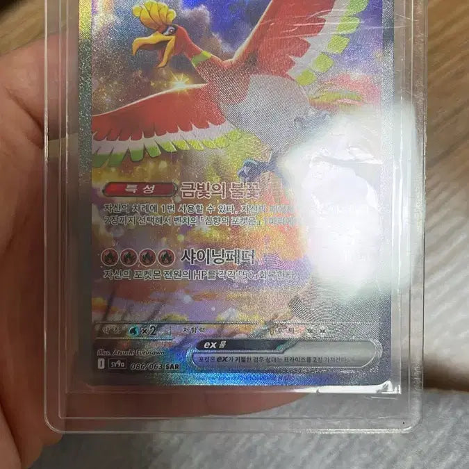 [BUNJANG] Seven-Colored Bird SAR Trading Card / 칠색조 sar 판매합니다.
