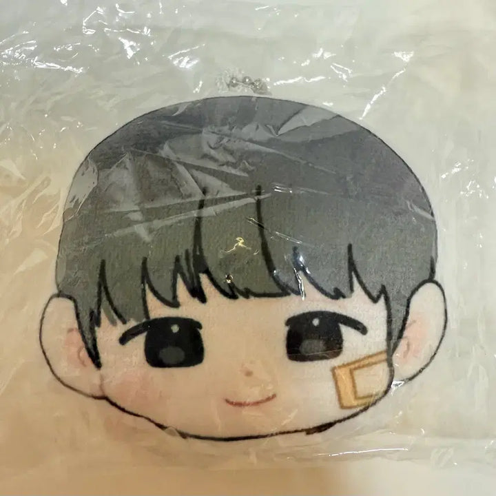 [BUNJANG] Weak Hero Yeon Si-eun Cushion Keyring (Sealed) / 약한영웅 연시은 박지훈 수시카페 쿠션키링 미개봉