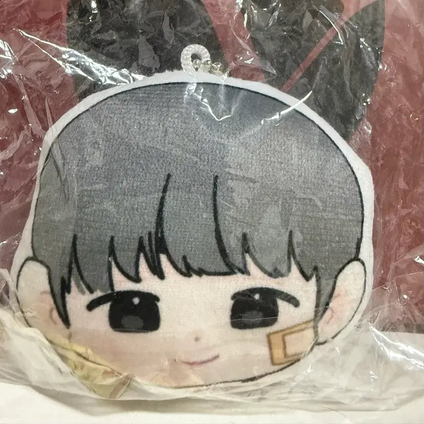 [BUNJANG] Weak Hero Yeon Si-eun Cushion Keyring (Sealed) / 약한영웅 연시은 박지훈 수시카페 쿠션키링 미개봉