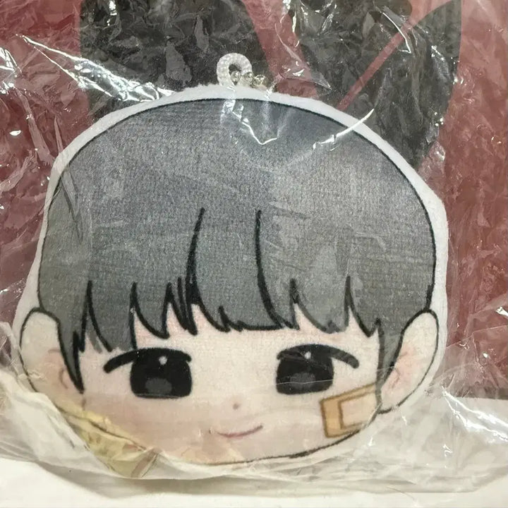 [BUNJANG] Weak Hero Yeon Si-eun Cushion Keyring (Sealed) / 약한영웅 연시은 박지훈 수시카페 쿠션키링 미개봉