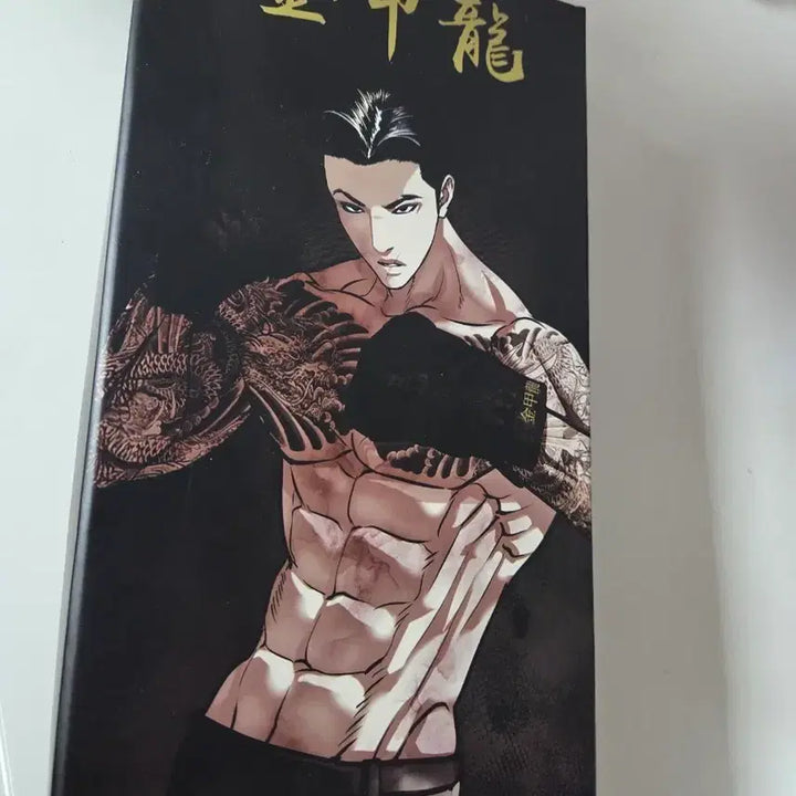 [BUNJANG] Lookism Kim Gapryong Gloves, Seong Yoohan Postcard / 외모지상주의 깁갑룡 장갑, 성요한 엽서카드