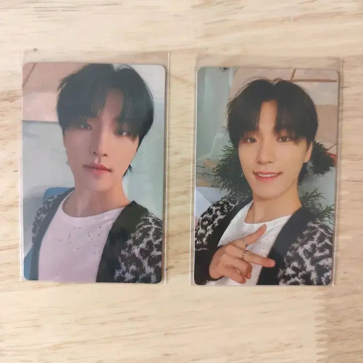 [BUNJANG] Seventeen Dino Photocard Bundle Set / 세븐틴 디노 포토카드 2장