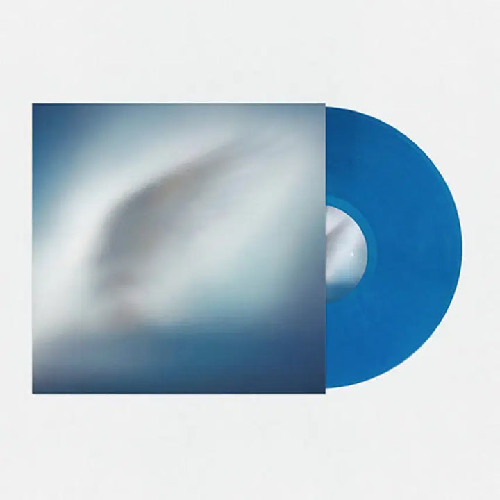 [SOLD OUT] 카더가든 - Blue Heart 블루 하트 [LP]