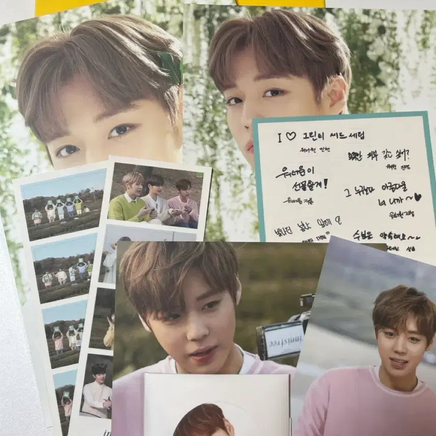 [BUNJANG] Park Jihoon Innisfree Goods / 박지훈 이니스프리