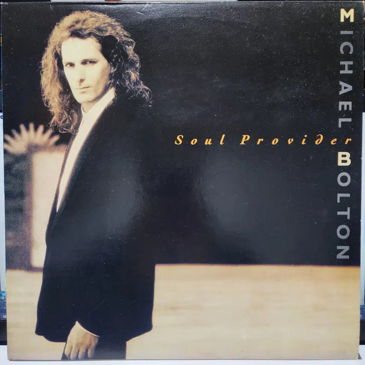 [BUNJANG] Michael Bolton LP Vinyl Record / Michael Bolton LP (마이클볼튼)