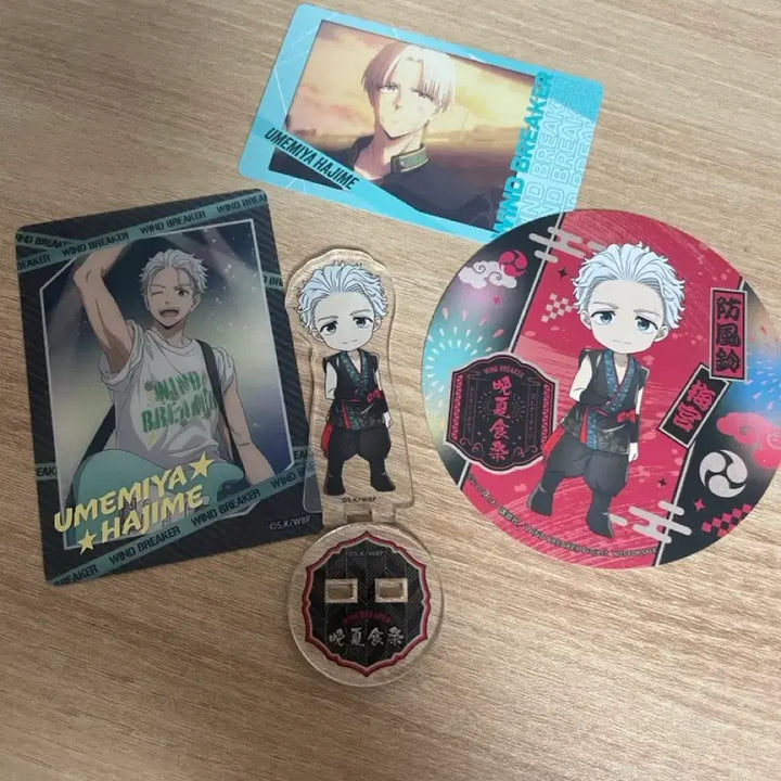 [BUNJANG] Winbre Umemiya Bundle Set / 윈브레 우메미야 일괄
