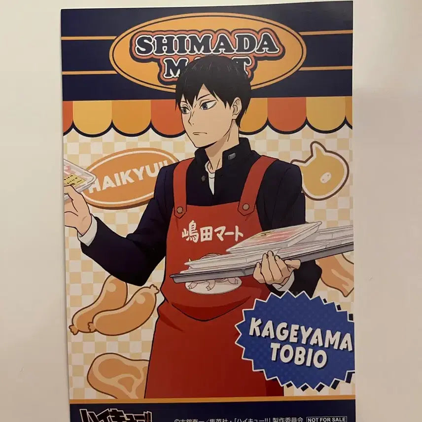[BUNJANG] Haikyuu Kageyama Tobio Postcard / 하이큐 카게야마 토비오 엽서