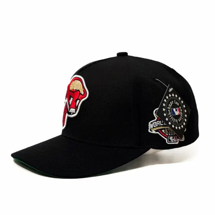 [BUNJANG] Chris Brown Kill The Hype Cleveland Upside Down Snapback Hat / 크리스브라운 KILL THE HYPE 클리블랜드 업사이드다운 스냅백 모자