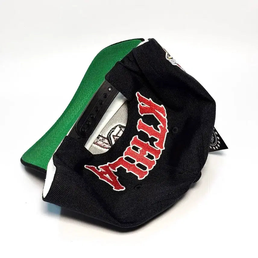 [BUNJANG] Chris Brown Kill The Hype Cleveland Upside Down Snapback Hat / 크리스브라운 KILL THE HYPE 클리블랜드 업사이드다운 스냅백 모자