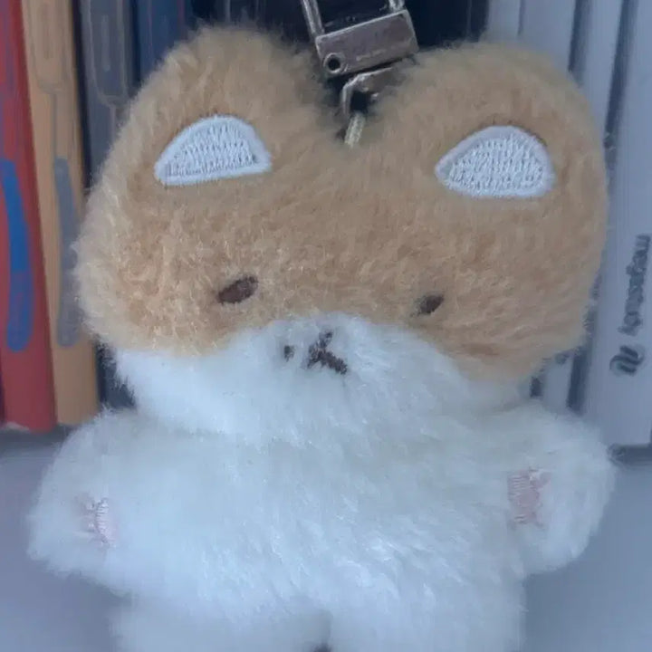 [BUNJANG] Unidentified Item Keyring / 터래기 키링