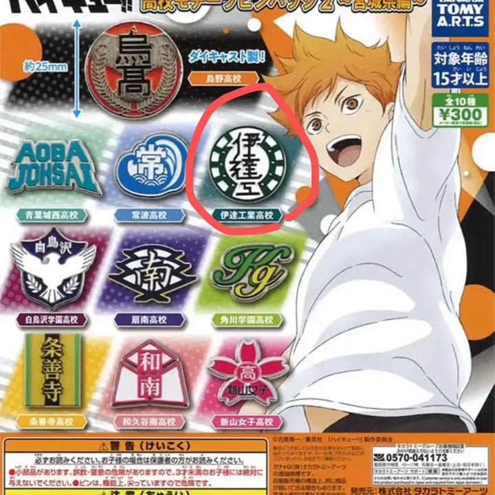 [BUNJANG] Haikyu! Date Tech High School Logo Pin Badge / (미개봉 하이큐 다테공고 학교 로고 핀 뱃지 가챠
