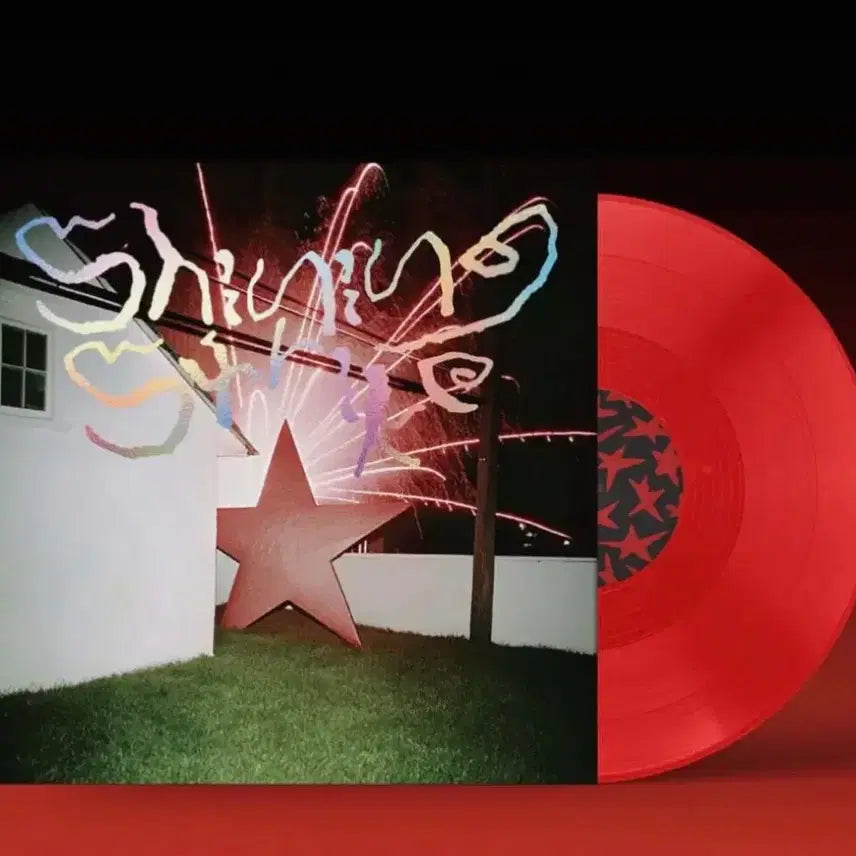[BUNJANG] Shin In Ryu LP Record / 신인류 LP 구매원합니다!