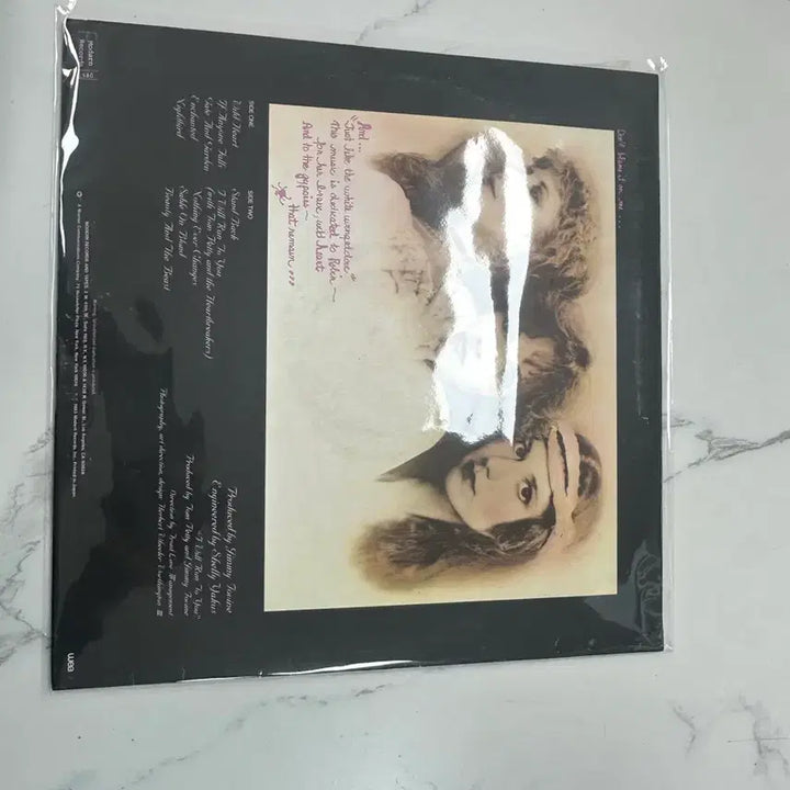 [BUNJANG] Stevie Nicks The Wild Heart Japanese Edition LP / 스티비넥스 Stevie Nicks The Wild Heart 일본반LP