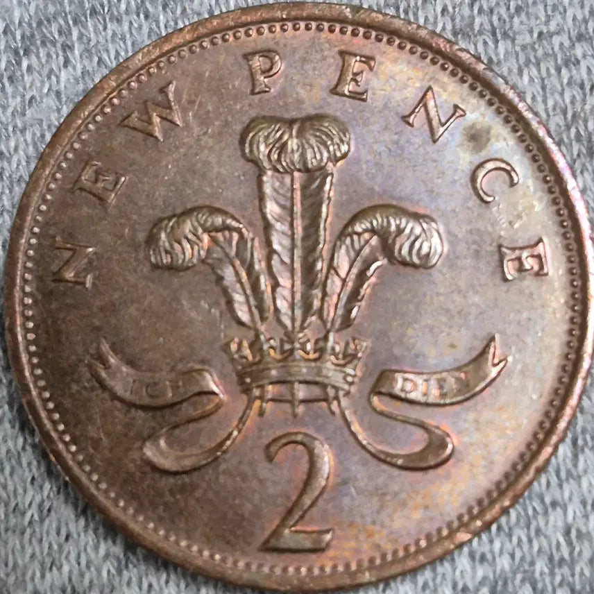 [BUNJANG] Elizabeth II New Pence Coin (1981) / 1981년 영국 엘리자베스 2세. 뉴 펜스