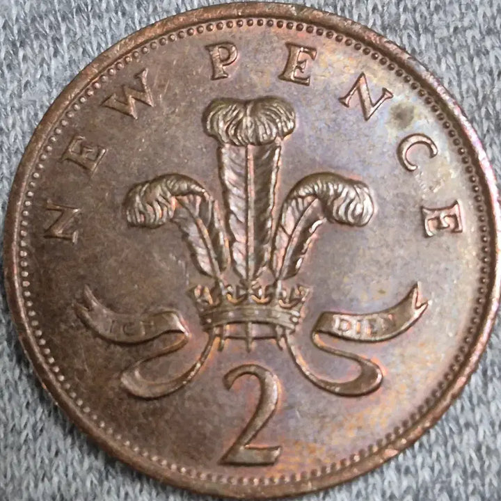[BUNJANG] Elizabeth II New Pence Coin (1981) / 1981년 영국 엘리자베스 2세. 뉴 펜스